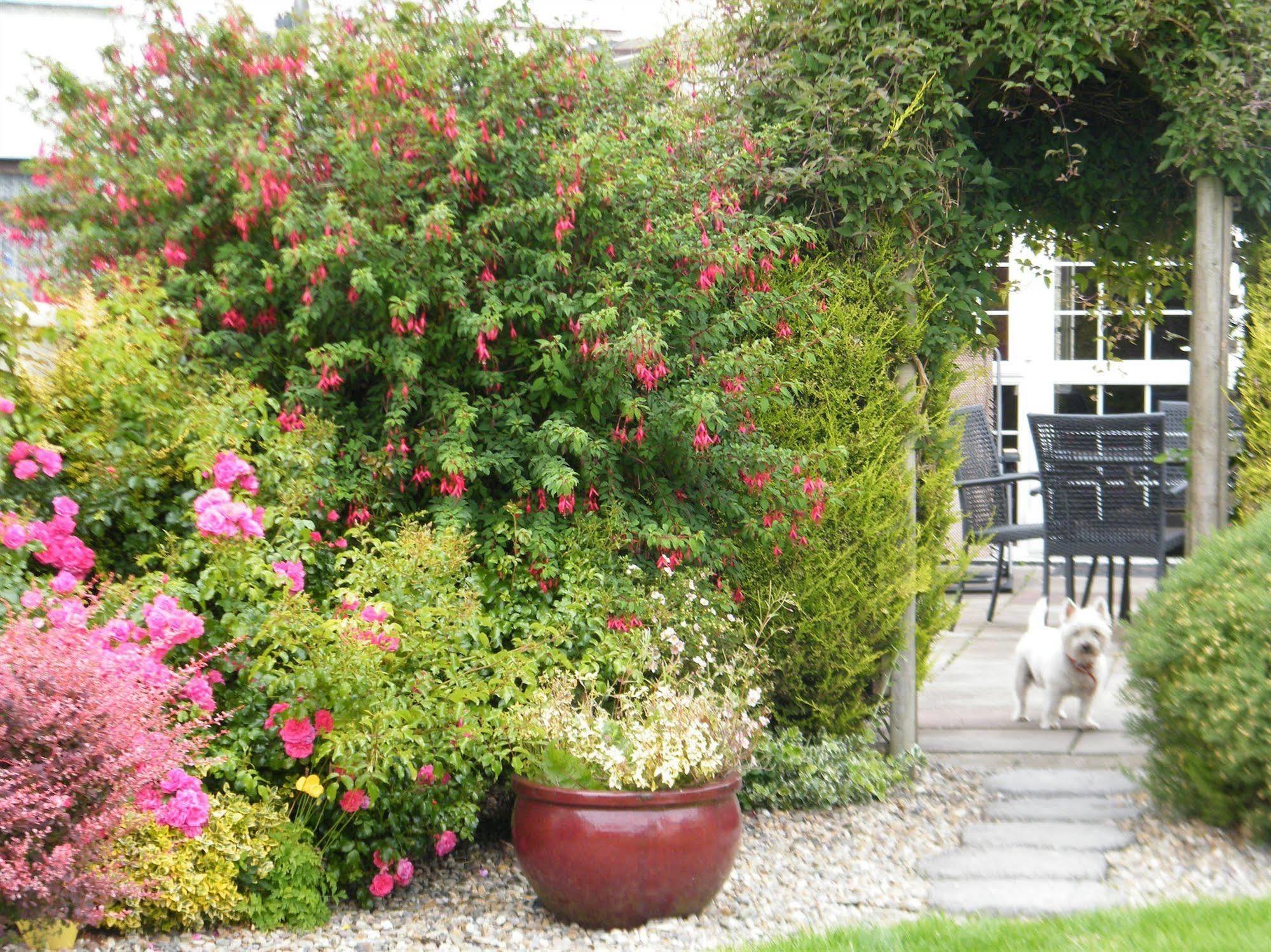 Almanii Bed & Breakfast Dublin Exterior photo