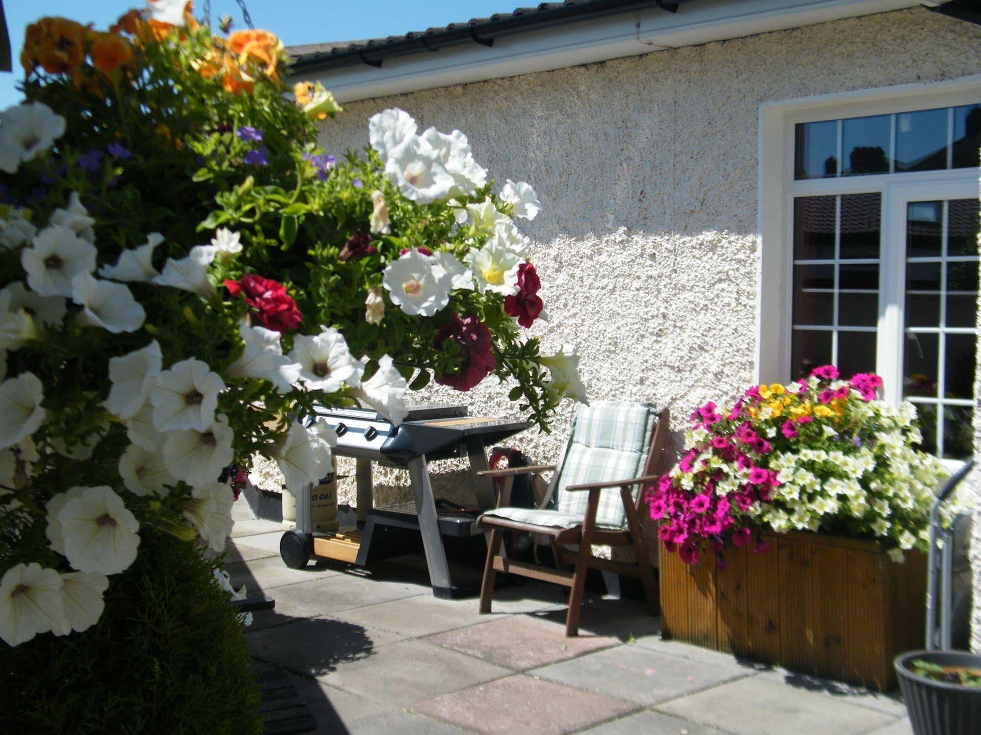 Almanii Bed & Breakfast Dublin Exterior photo