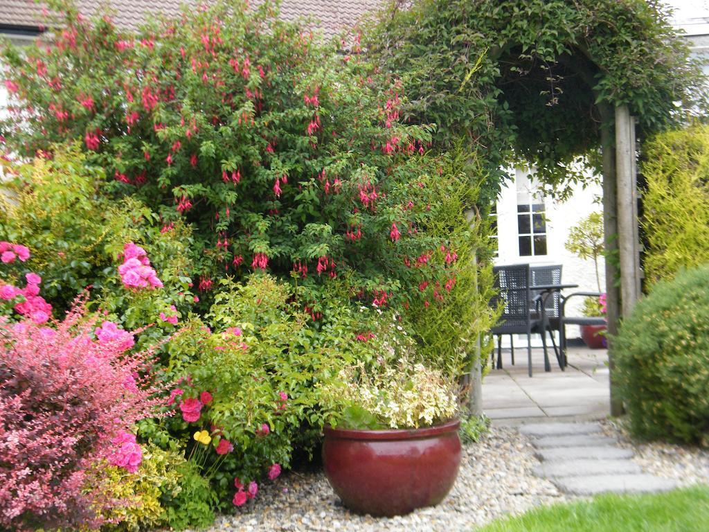 Almanii Bed & Breakfast Dublin Exterior photo